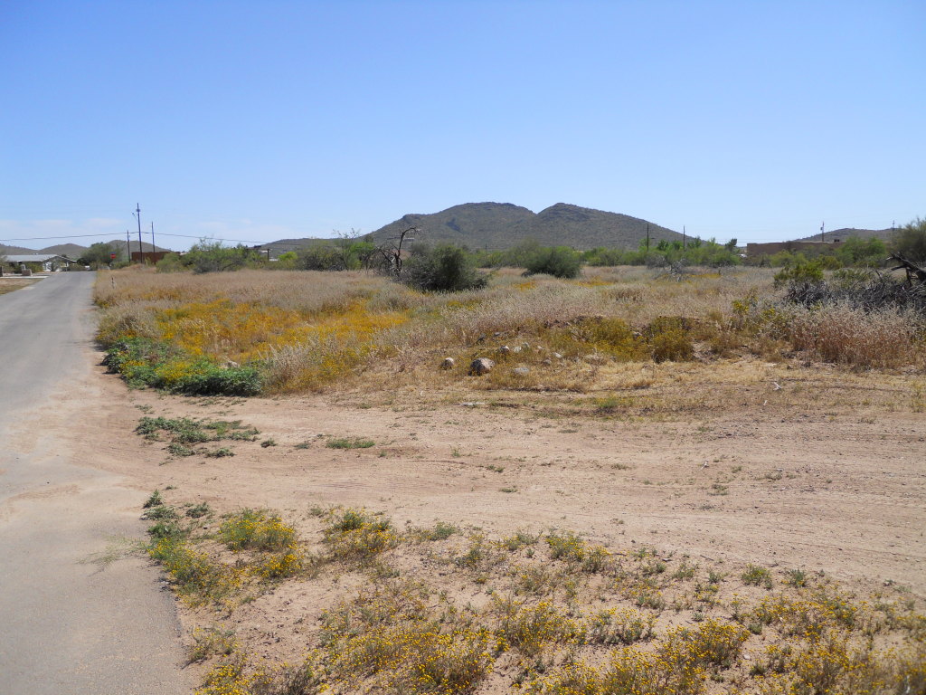 14-th Ave West Joy Ranch Road Phoenix, AZ 85086 - Photo 8 of 10 14th Ave & Joy Ranch Rd