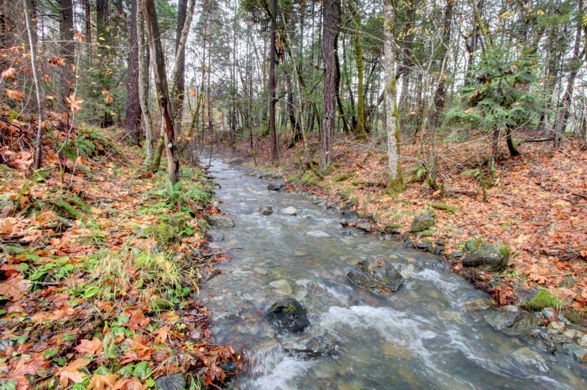 2101 Queens Branch Road Rogue River, OR 97537 - Photo 4 of 25 Additional Photo
