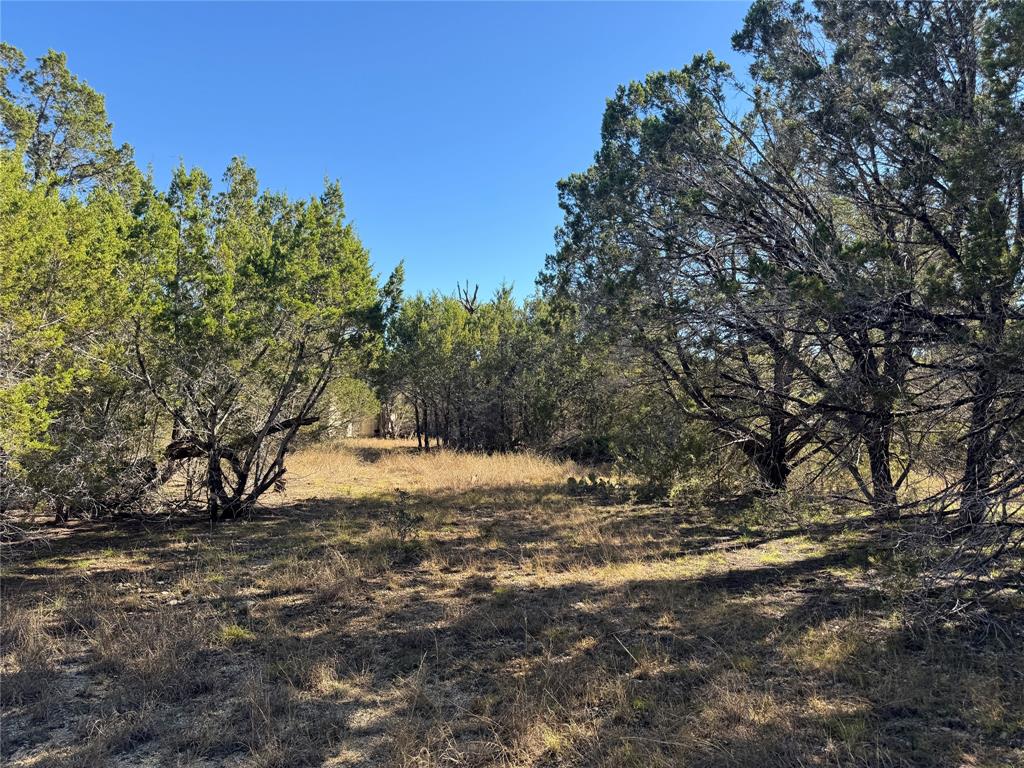 304 Rd Bertram Tx 78605 Road Bertram, TX 78605 - Photo 11 of 18 a view of empty space and tree
