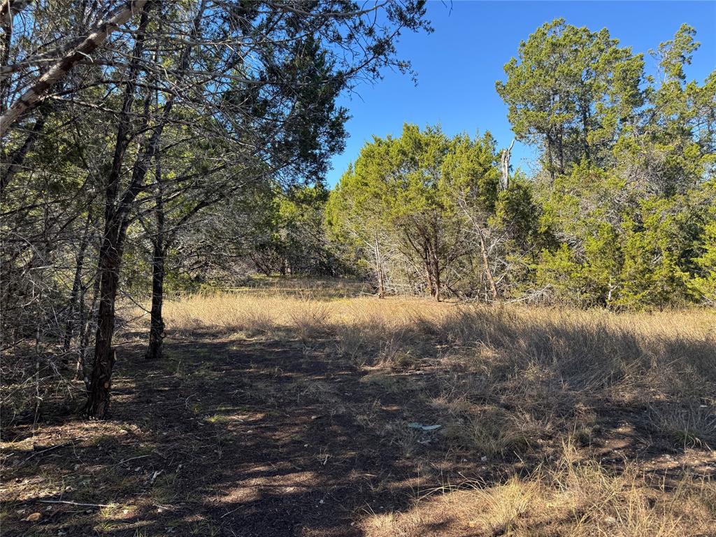 304 Rd Bertram Tx 78605 Road Bertram, TX 78605 - Photo 12 of 18 a view of a yard with a tree