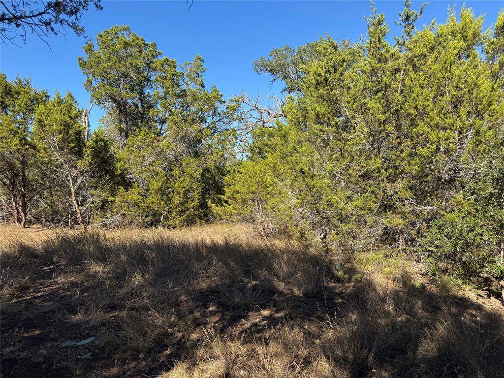 304 Rd Bertram Tx 78605 Road Bertram, TX 78605 - Photo 13 of 18 a view of a yard with a tree