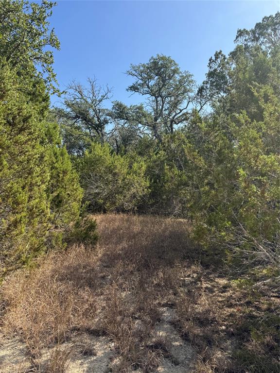 304 Rd Bertram Tx 78605 Road Bertram, TX 78605 - Photo 8 of 18 a view of a yard with a tree