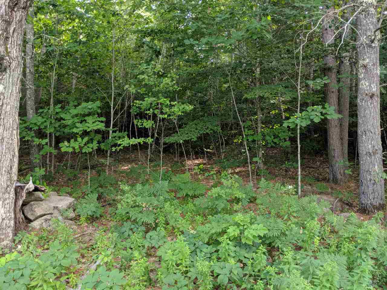 102-3 Guinea Ridge Road Gilmanton, NH 03237 - Photo 5 of 10