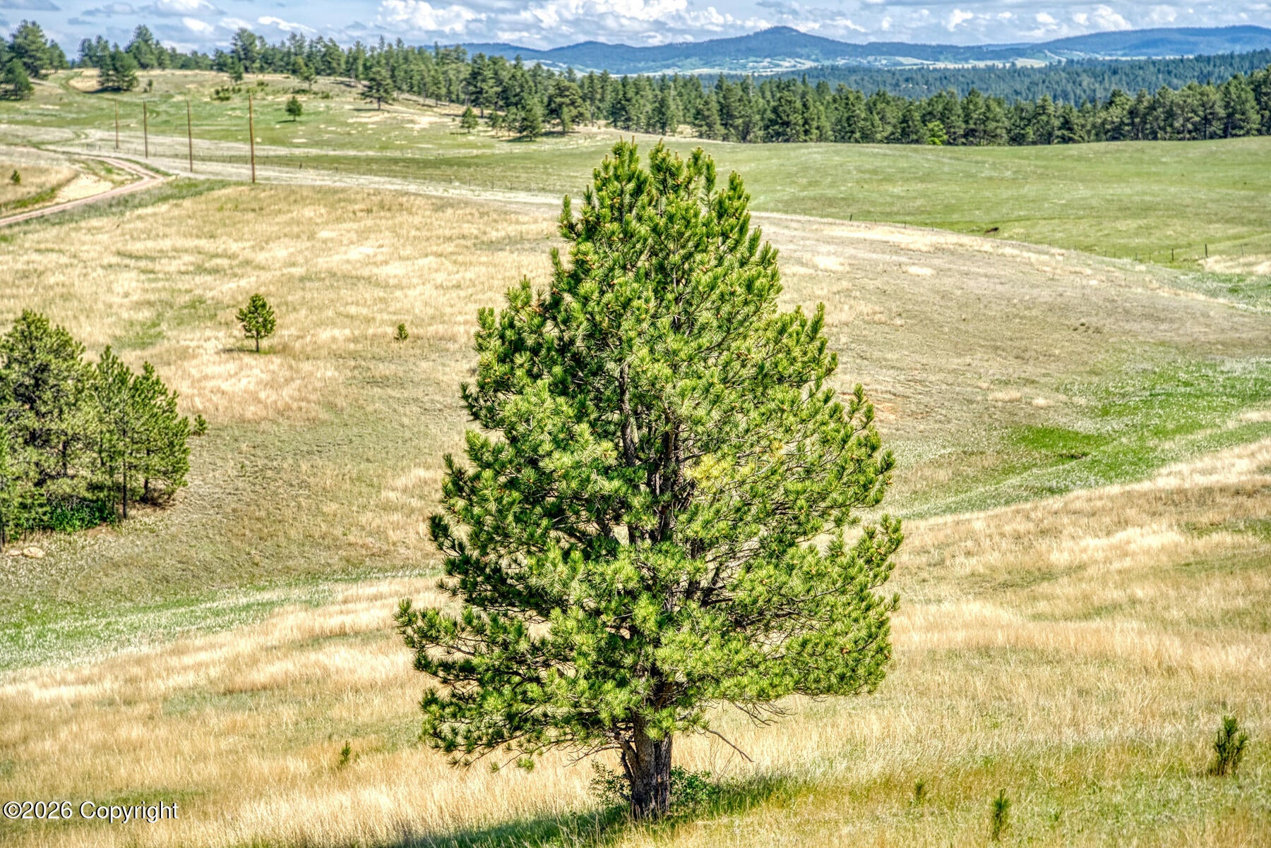 11 Morning Glory Road Hulett, WY 82720 - Photo 41 of 53 Gallery Image 41