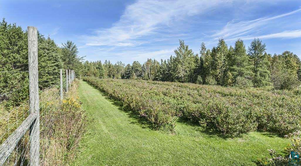 3601 Crosby Road Cloquet, MN 55720 - Photo 17 of 24 Gallery Image 17