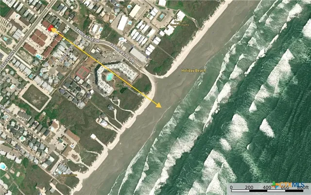 a close up of a plant in a yard