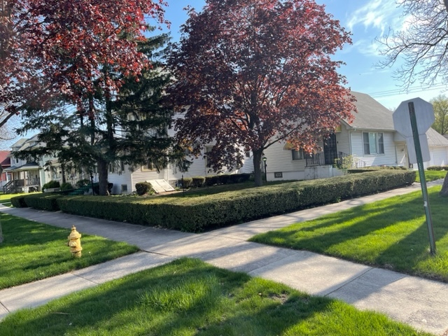 Undisclosed Address Maywood, IL 60153 - Photo 3 of 46 a view of a garden with houses