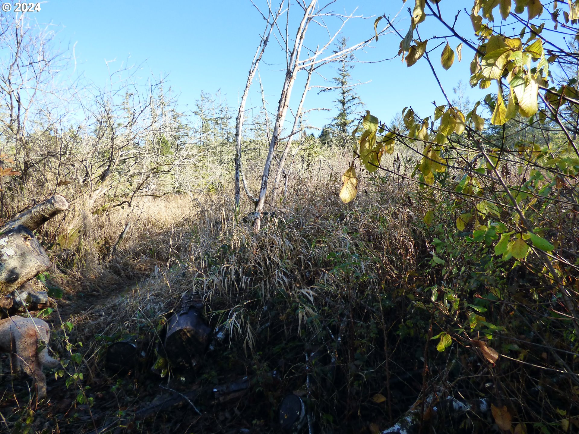 Mccormick Garden Road Gearhart, OR 97138 - Photo 11 of 17