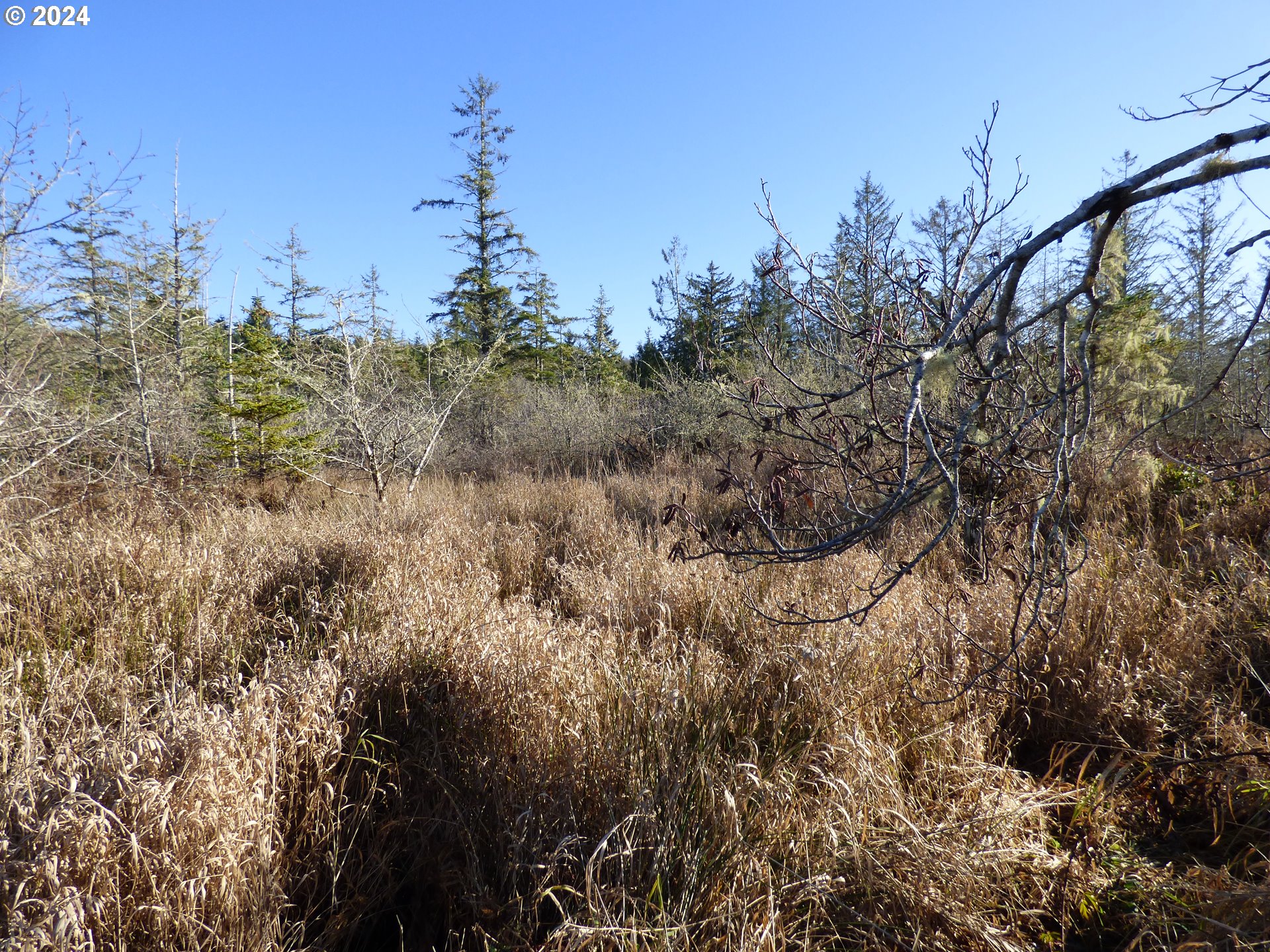 Mccormick Garden Road Gearhart, OR 97138 - Photo 12 of 17