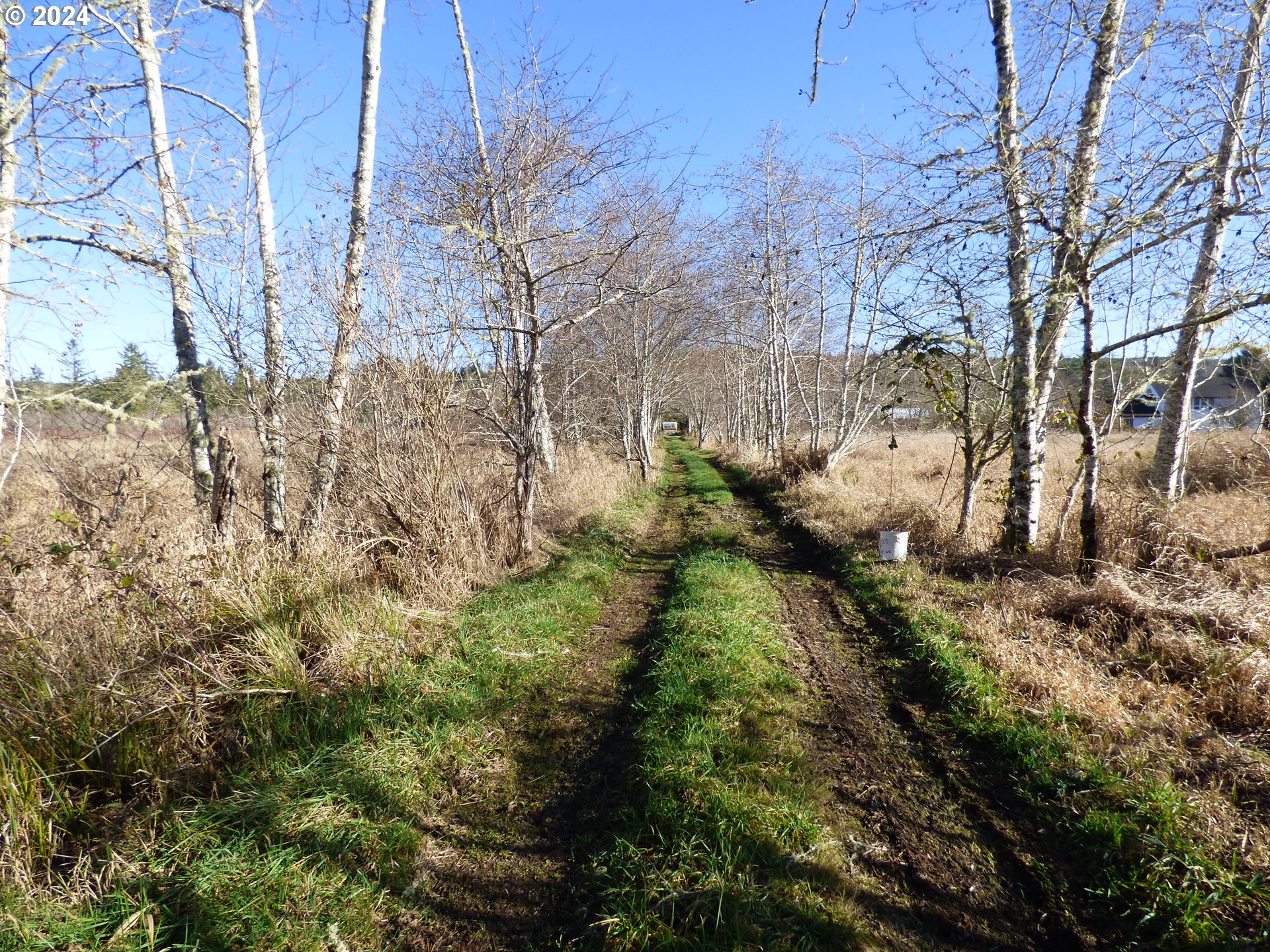 Mccormick Garden Road Gearhart, OR 97138 - Photo 9 of 17 a view of a yard with large trees