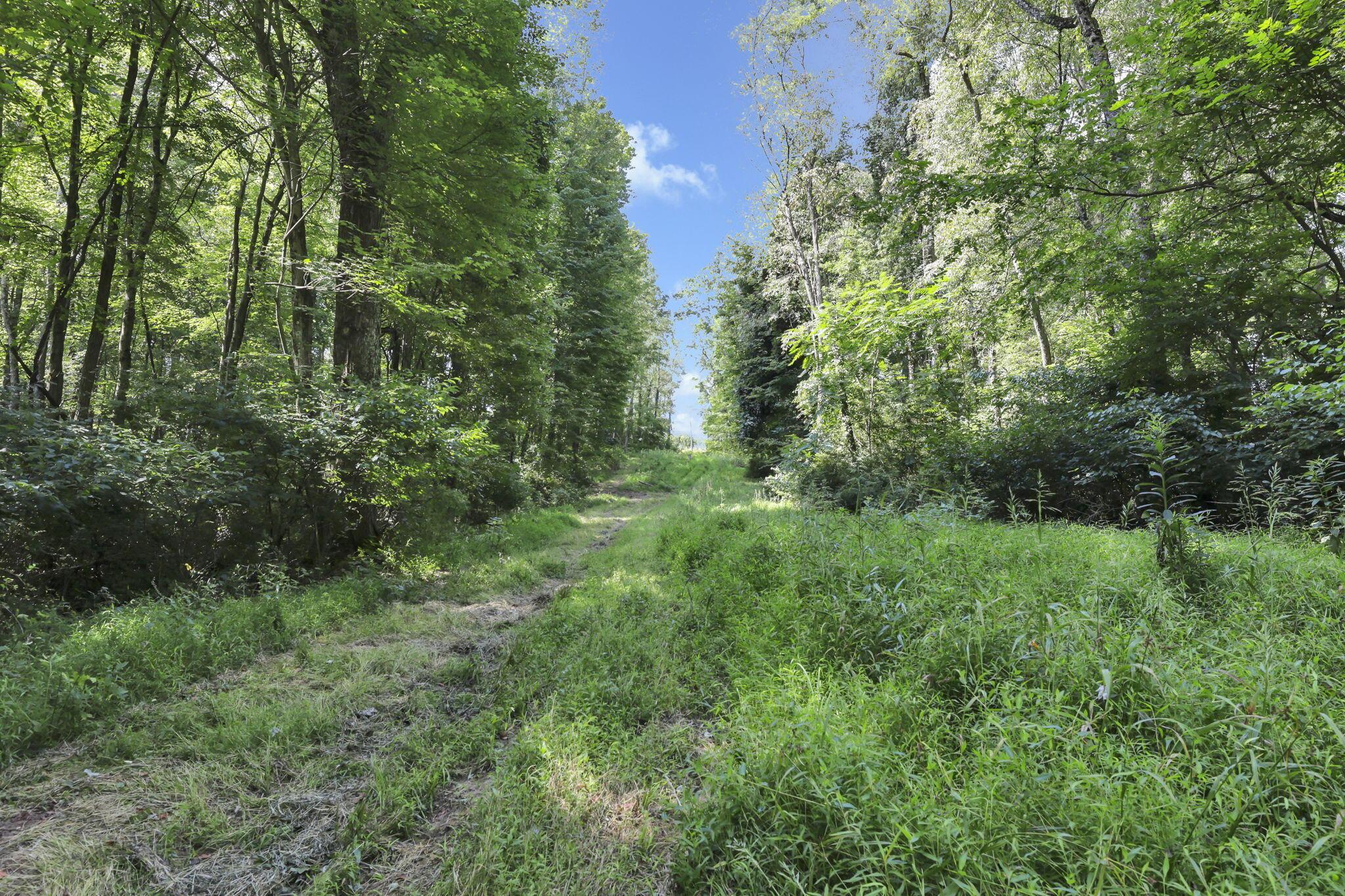 0 Cambridge Road Coshocton, OH 43812 - Photo 37 of 54 33-web-or-mls-011A1901