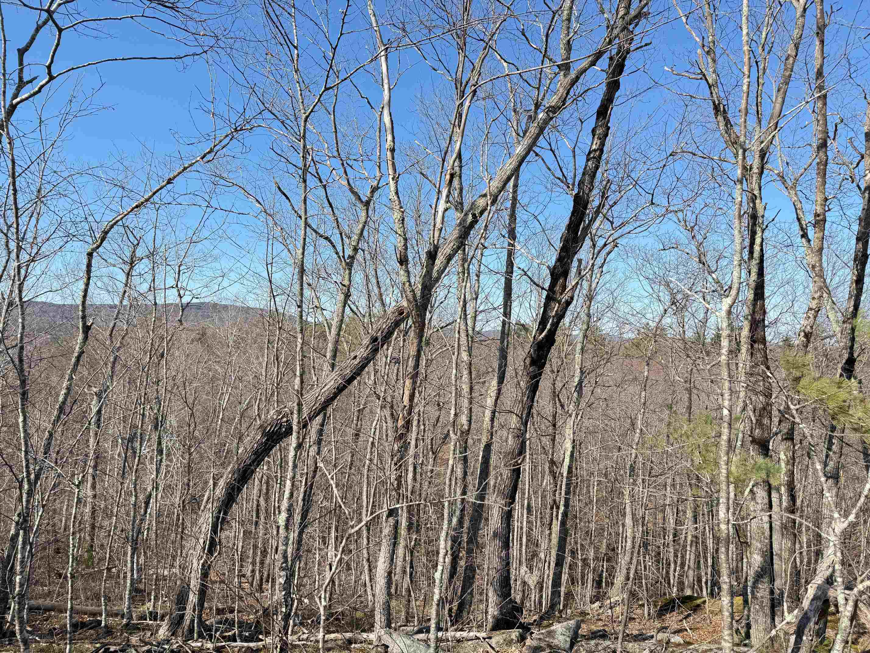 3 Map Street Strafford, NH 03884 - Photo 13 of 21