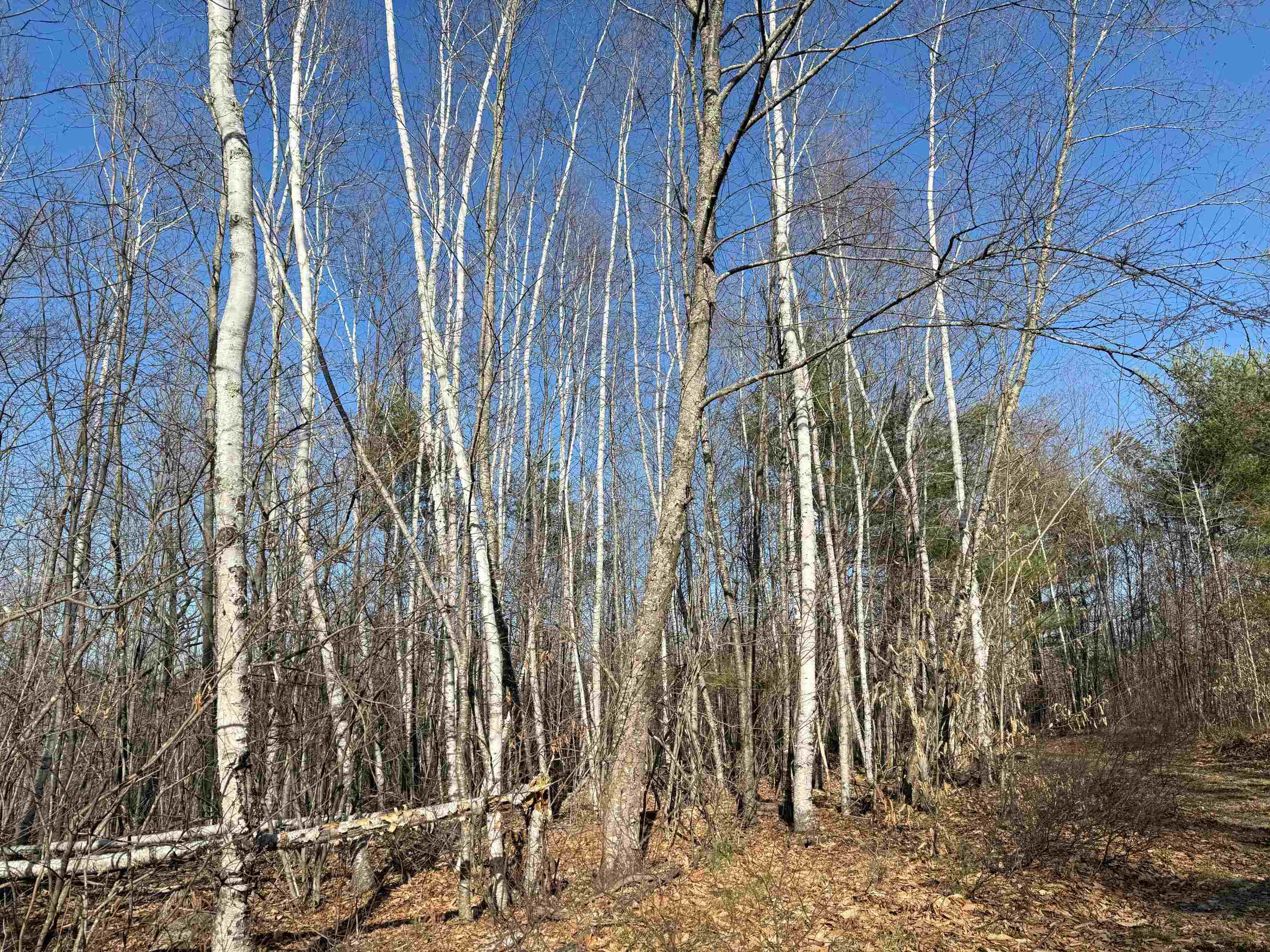 3 Map Street Strafford, NH 03884 - Photo 18 of 21