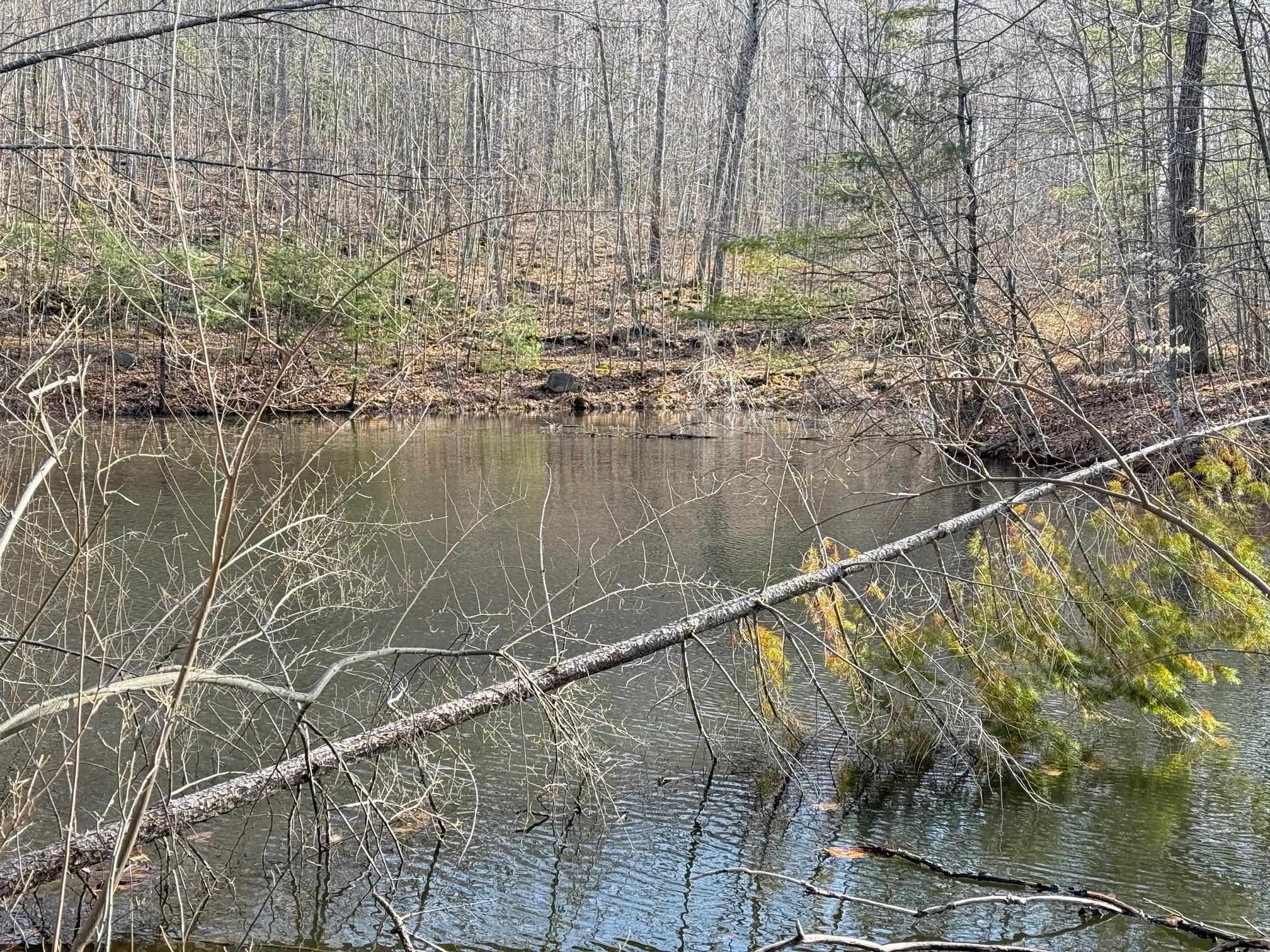 3 Map Street Strafford, NH 03884 - Photo 21 of 21