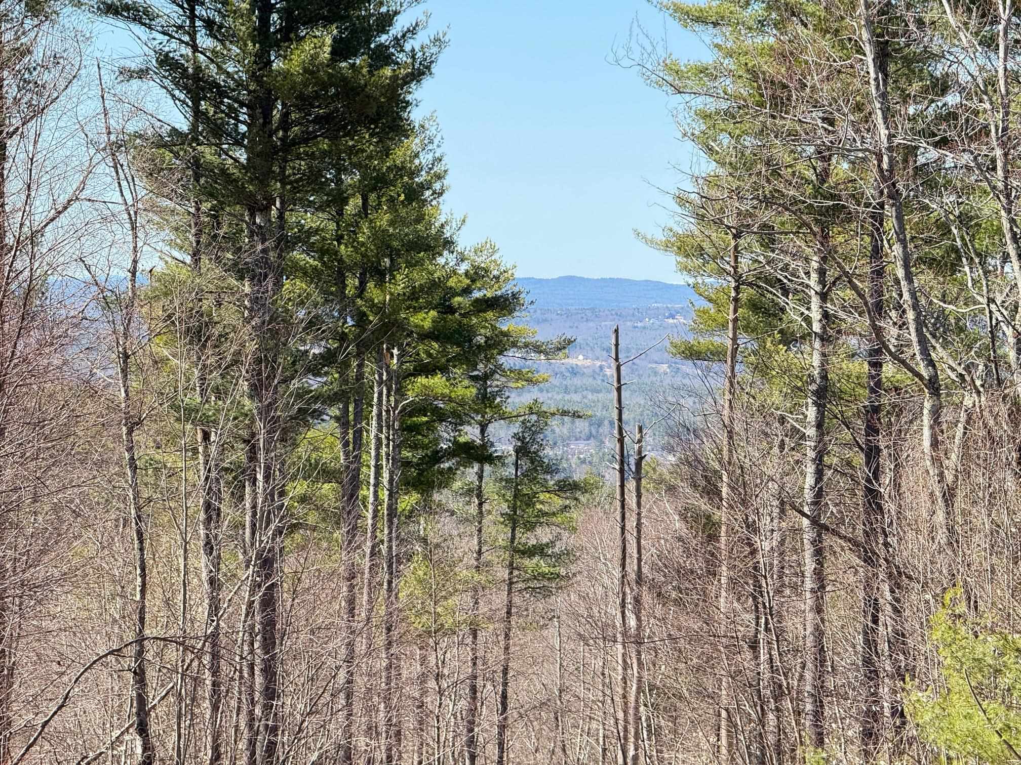 3 Map Street Strafford, NH 03884 - Photo 6 of 21