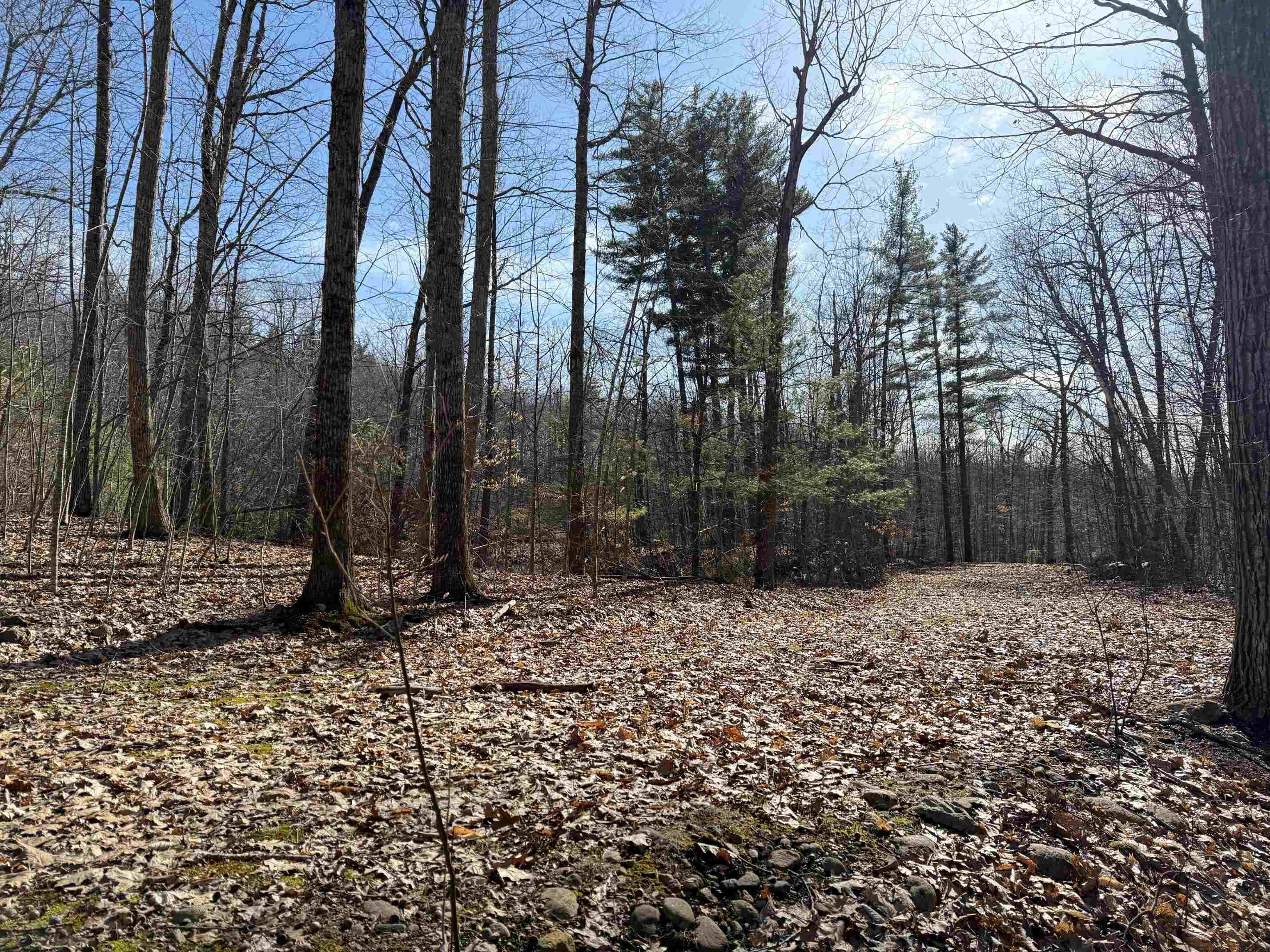 3 Map Street Strafford, NH 03884 - Photo 8 of 21