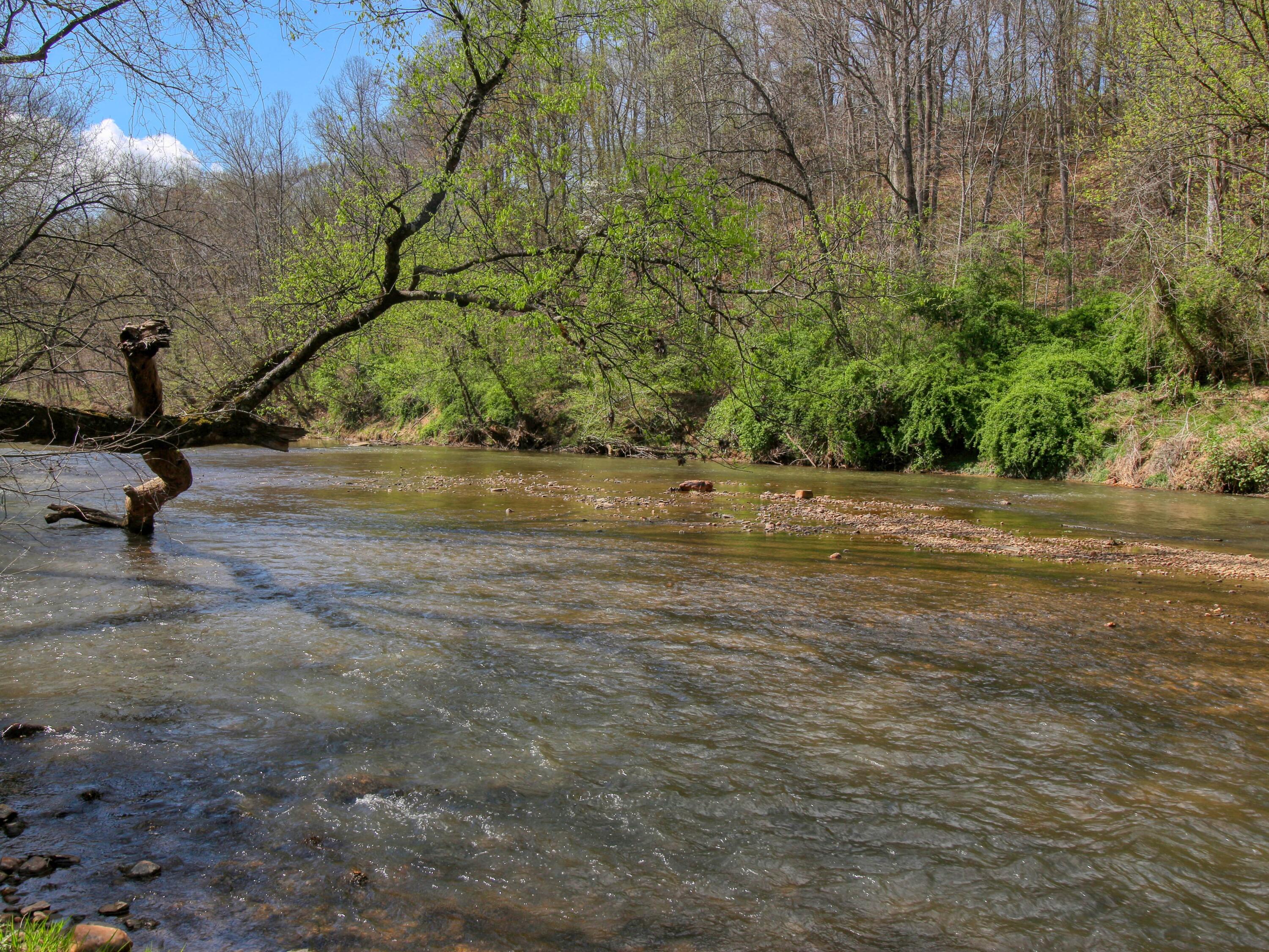 498 Meeks Road Penhook, VA 24137 - Photo 2 of 74 a view of a park with large trees