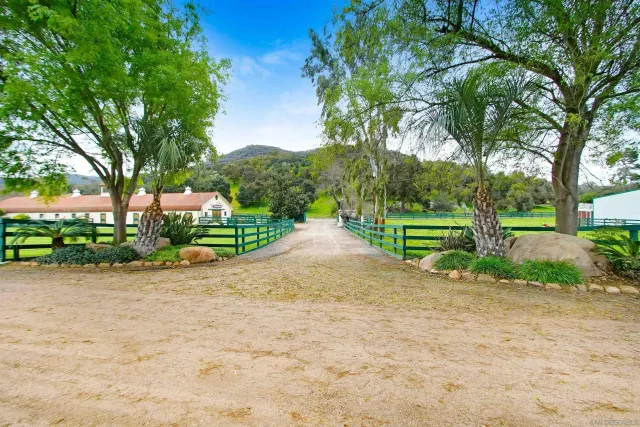 a view of road and trees