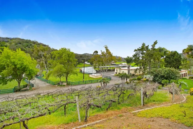 a view of a grassy field with trees