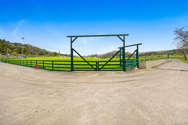 a view of a street with a tree in the background