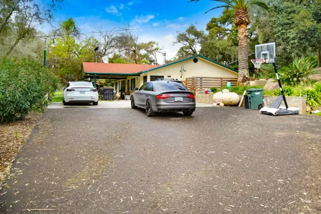 a view of a yard with a tree