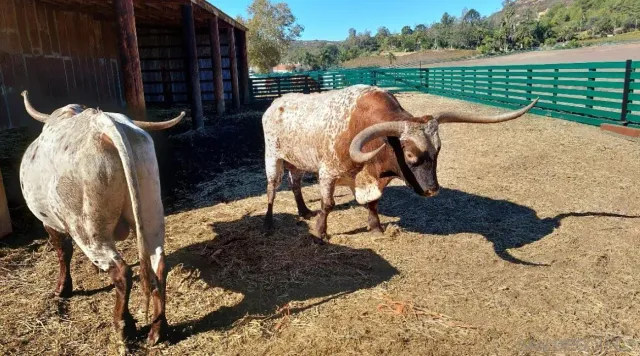 $17,000,000 | 16757 Old Guejito Grade Road, Escondido, CA 92027