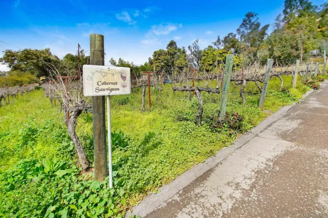 $17,000,000 | 16757 Old Guejito Grade Road, Escondido, CA 92027