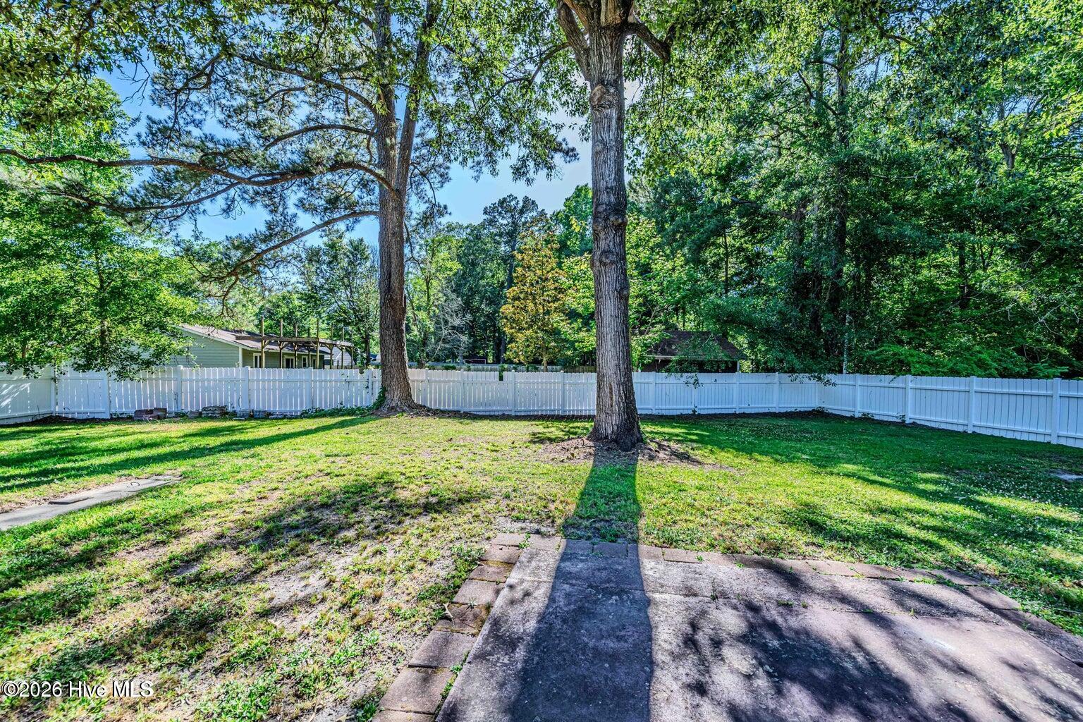 800 Mill River Road Jacksonville, NC 28540 - Photo 3 of 60 Backyard