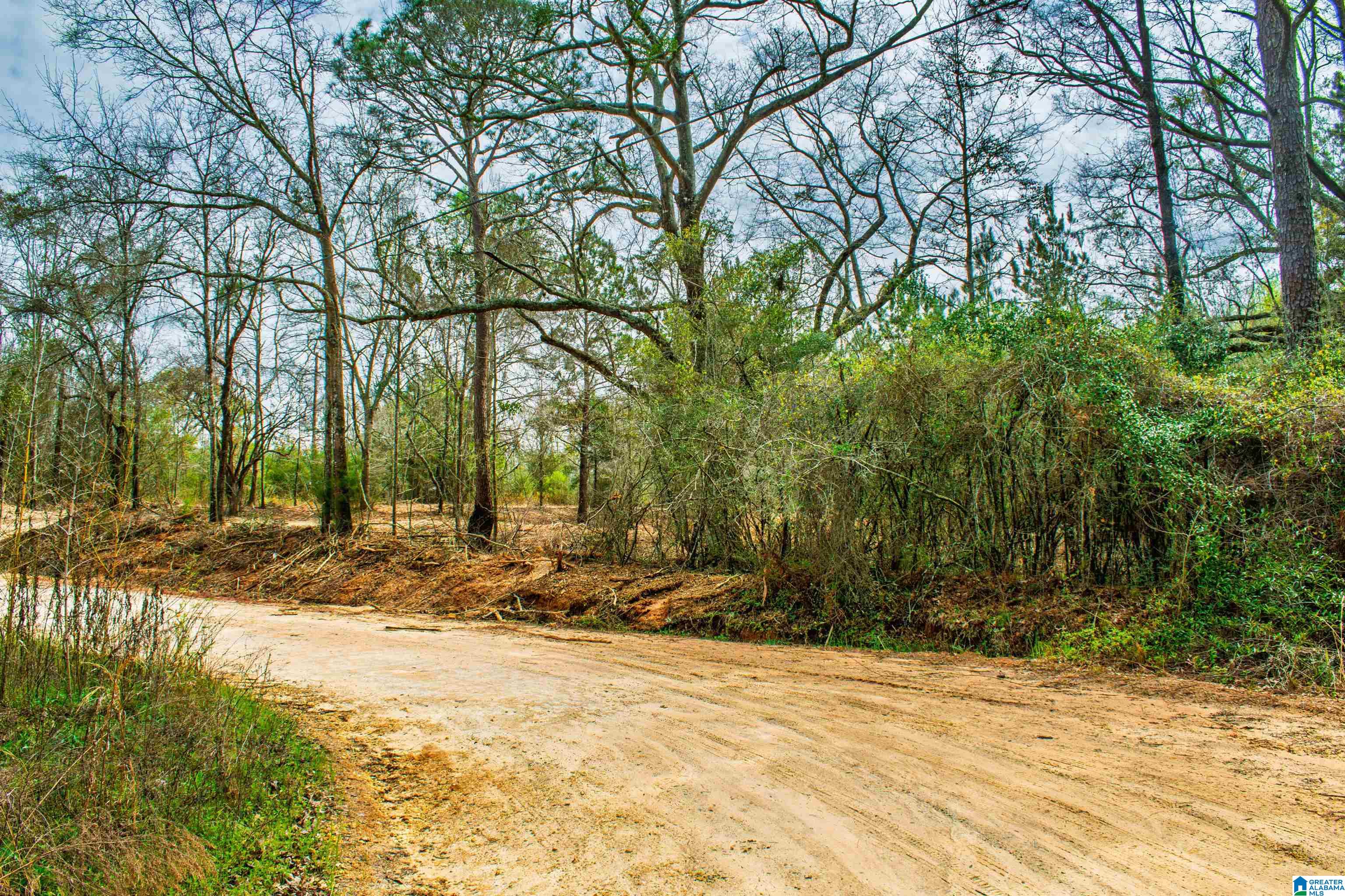27180 Deer Run Road Opp, AL 36467 - Photo 50 of 60