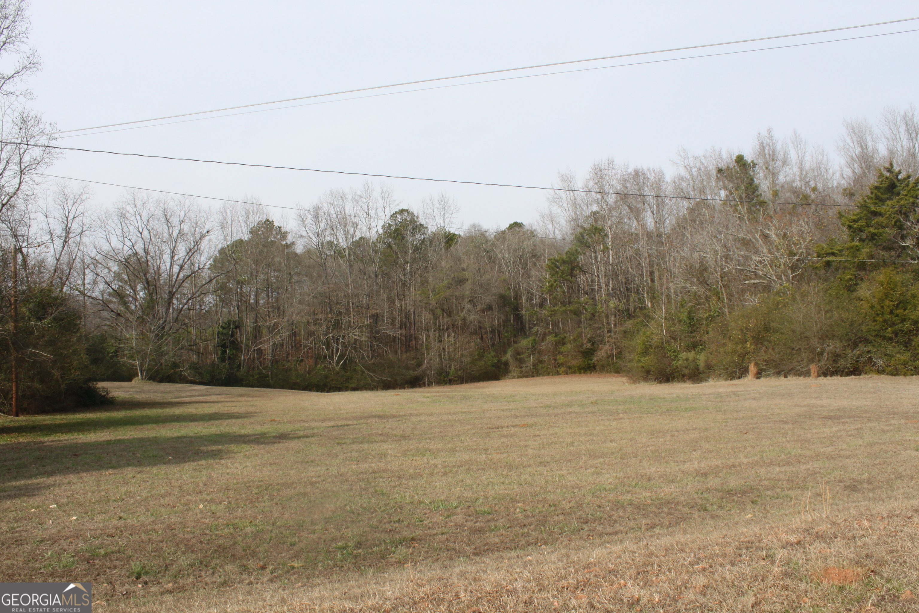 877 Magic Hill Loop Shiloh, GA 31826 - Photo 27 of 27