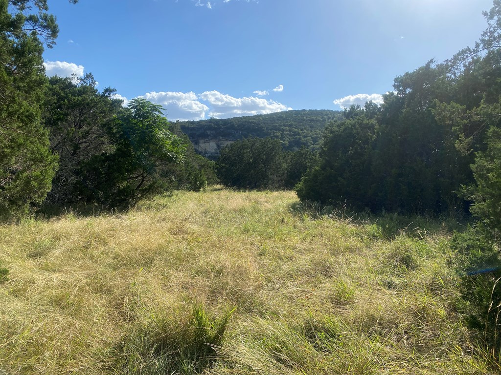 0 Old Rocksprings Road Leakey, TX 78873 - Photo 2 of 18