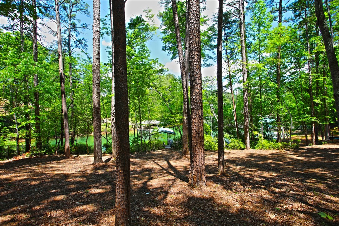 Lot 114 Harbor Point Seneca, SC 29672 - Photo 31 of 46 This serene wooded lot offers direct waterfront access, perfect for a private dock.