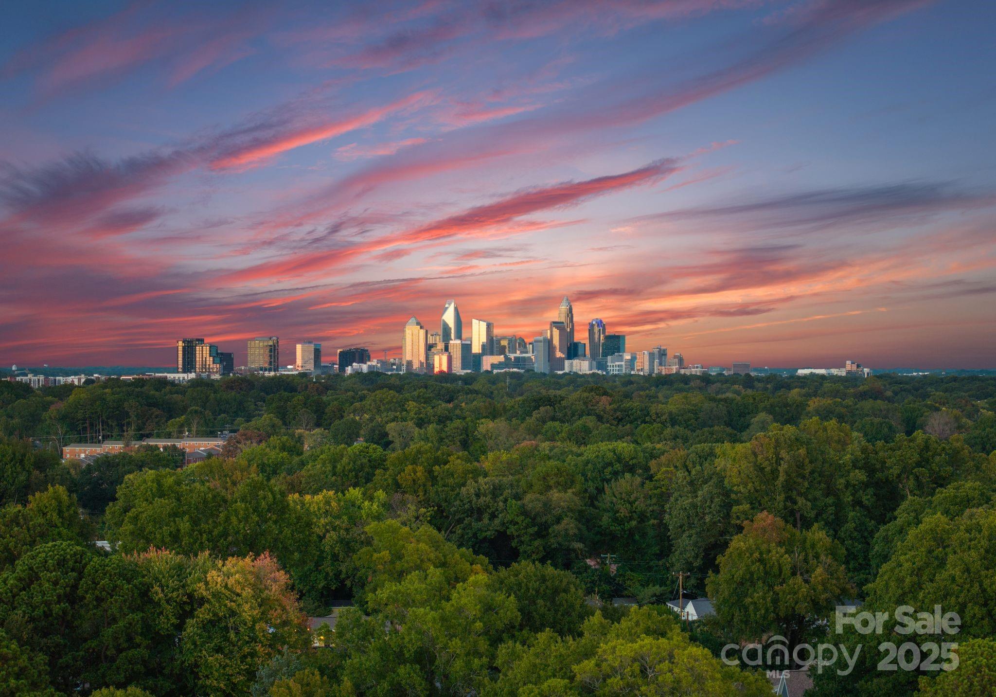 4641 Connecting Road Charlotte, NC 28209 - Photo 48 of 48 a view of a city