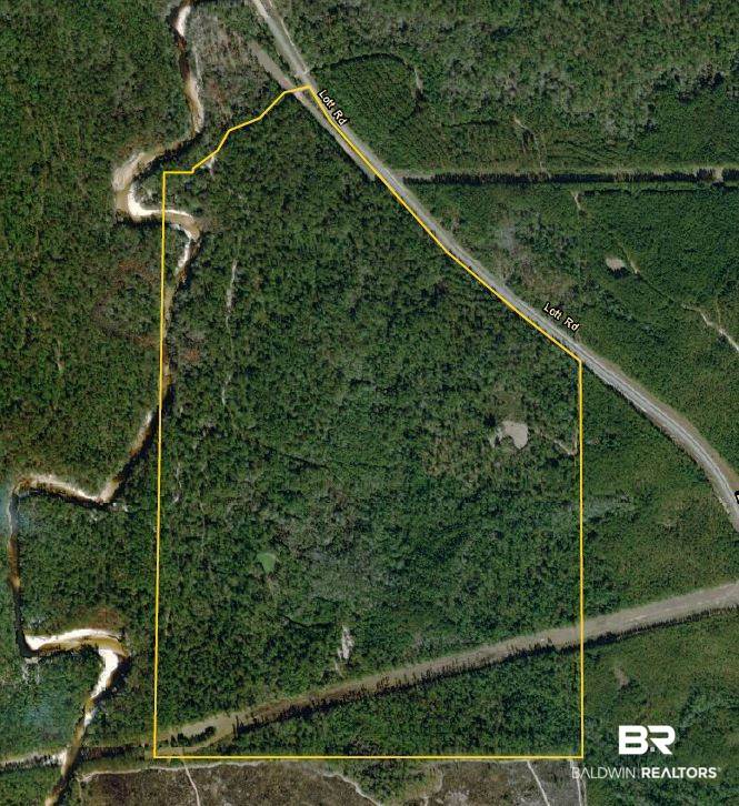 0 Lott Road Citronelle, AL 36522 - Photo 10 of 10