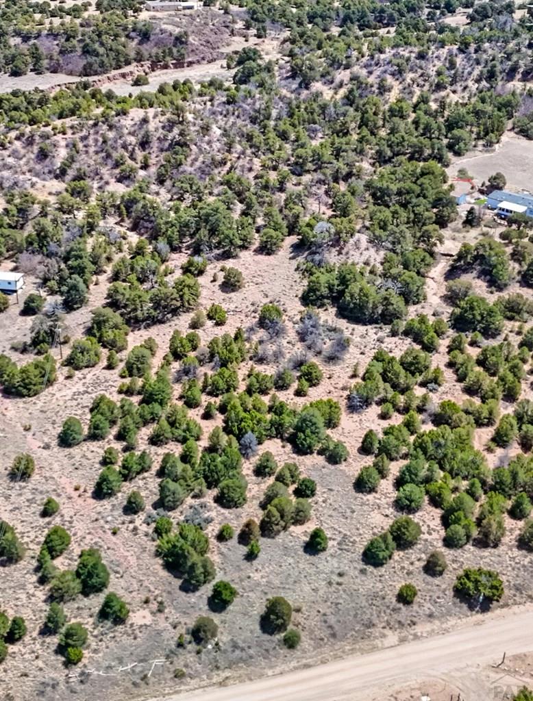 Lot 79 Navajo Ranch Walsenburg, CO 81089 - Photo 4 of 5