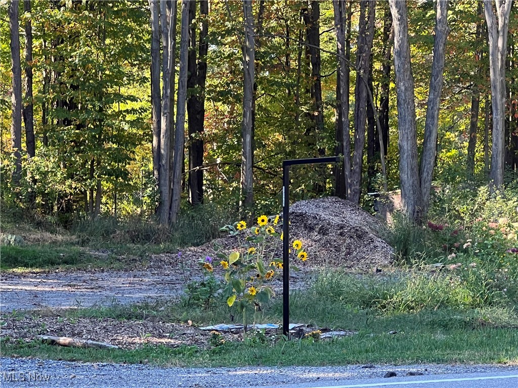 8625 Bainbridge Road Chagrin Falls, OH 44023 - Photo 14 of 20 View of local wilderness