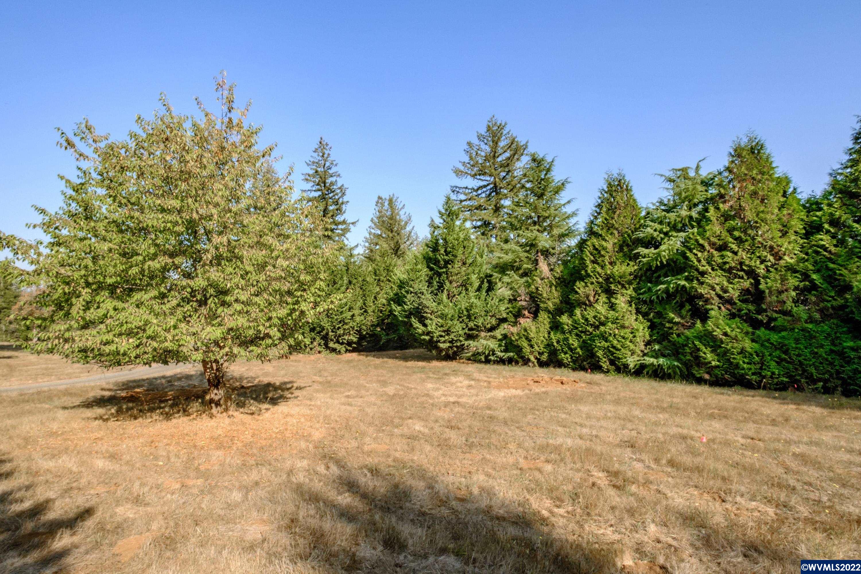 25668 Rice (parcel Road Sweet Home, OR 97386 - Photo 17 of 18