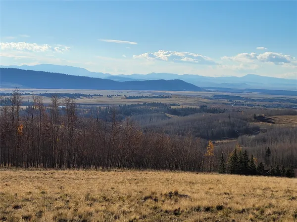 a view of yard covered with snow
