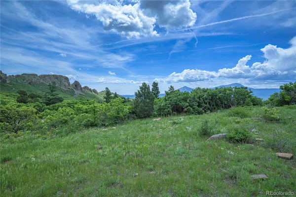 a view of a big yard with lots of green space