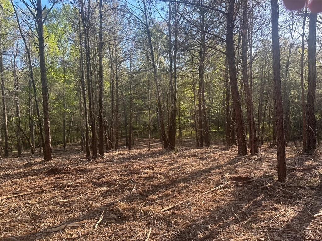 0 Lee Mashburn Road Dahlonega, GA 30533 - Photo 9 of 19
