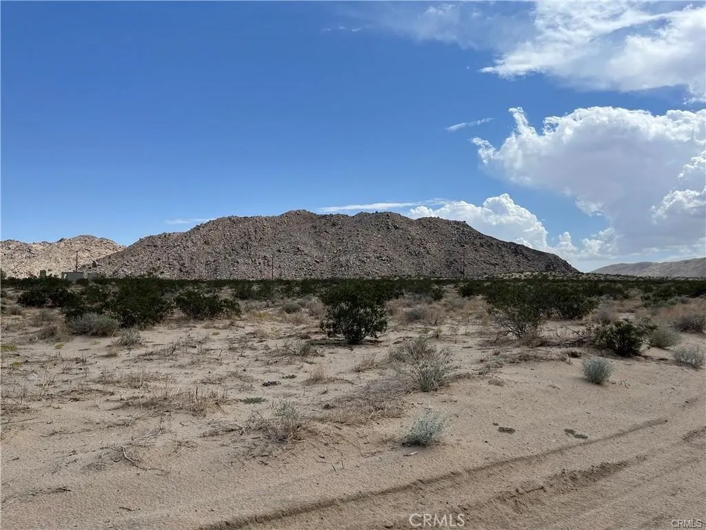 0 Bodick Road Landers, CA 92285 - Photo 3 of 8