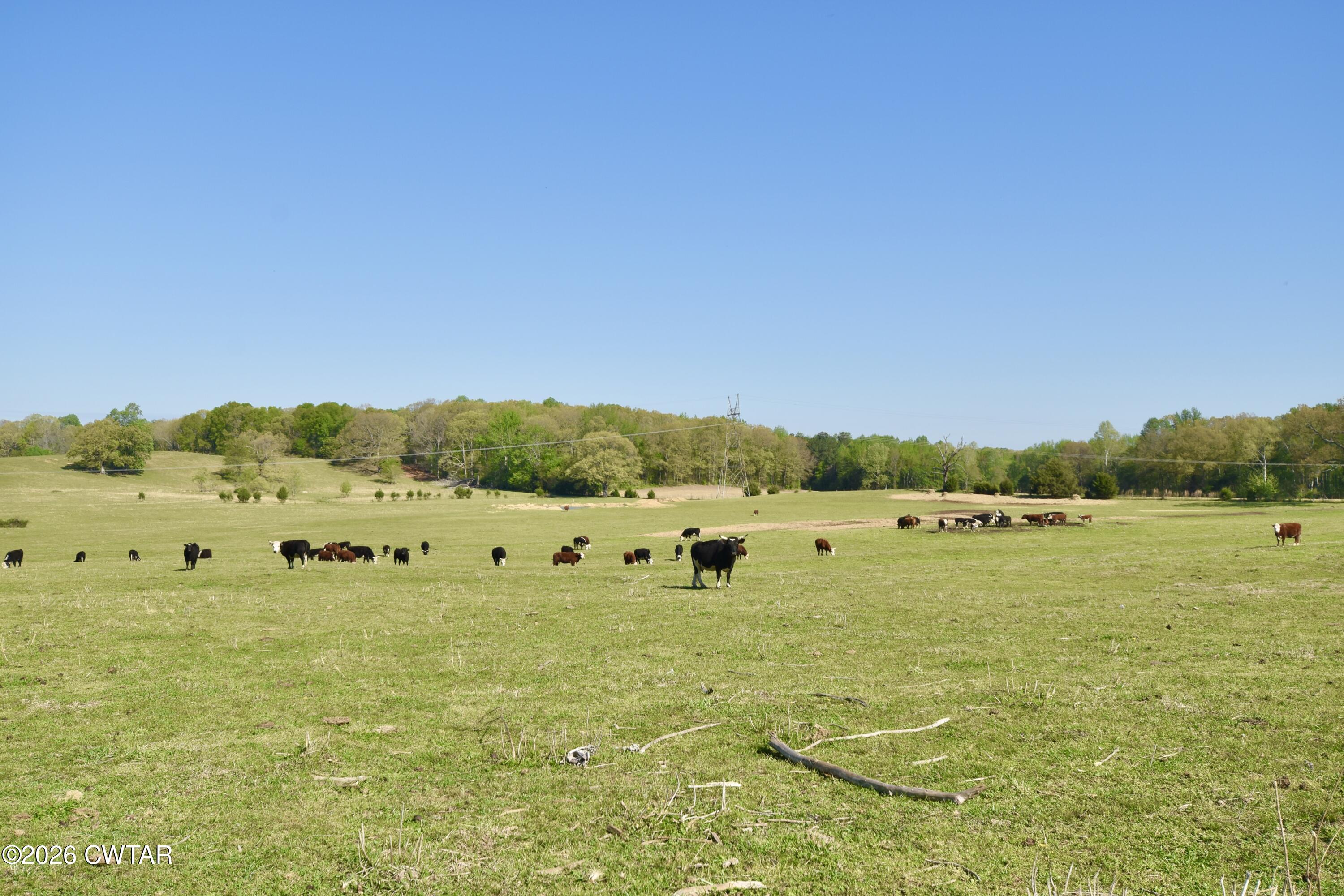 4320 Timberlake-Wildersville Road Lexington, TN 38351 - Photo 42 of 58 DSC_0355