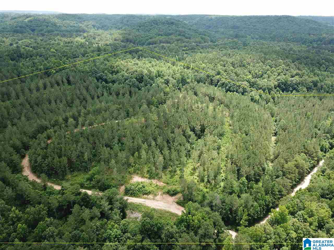 Cold Branch Road, Unit 48 Arab, AL 35016 - Photo 17 of 27