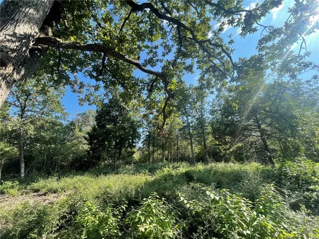 $32,000 | Tbd Dogwood Lane, Hilltop Lakes, TX 77871