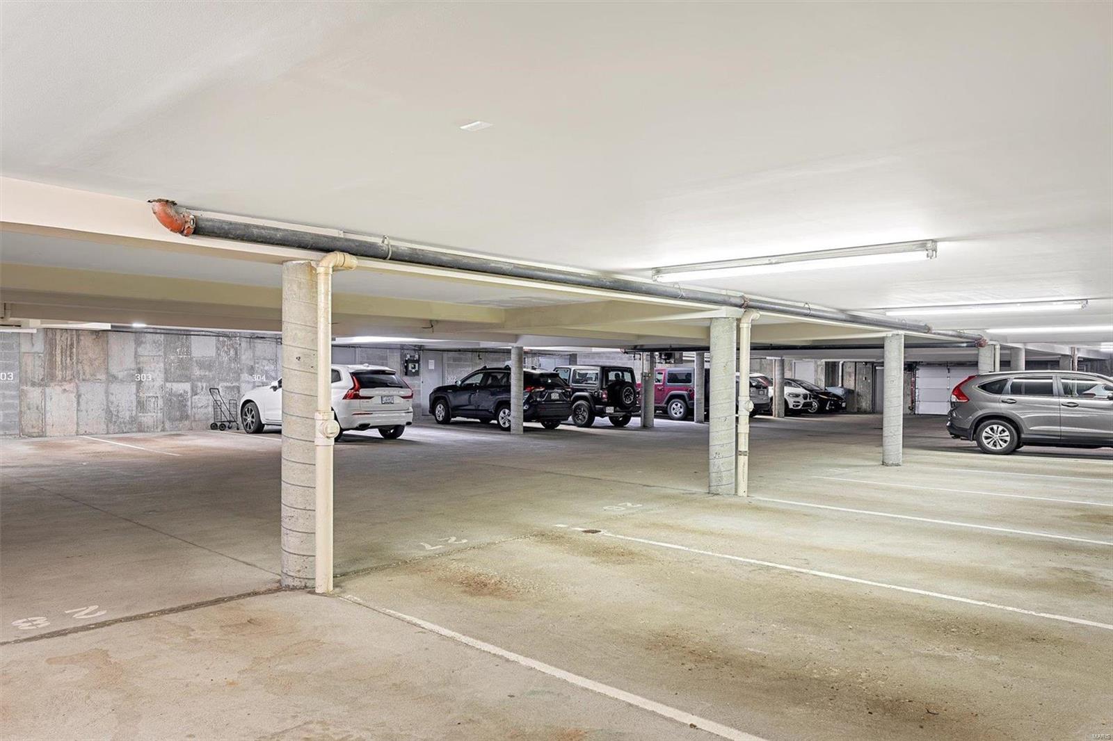 155 North Hanley Road, Unit 203 St. Louis, MO 63105 - Photo 17 of 17