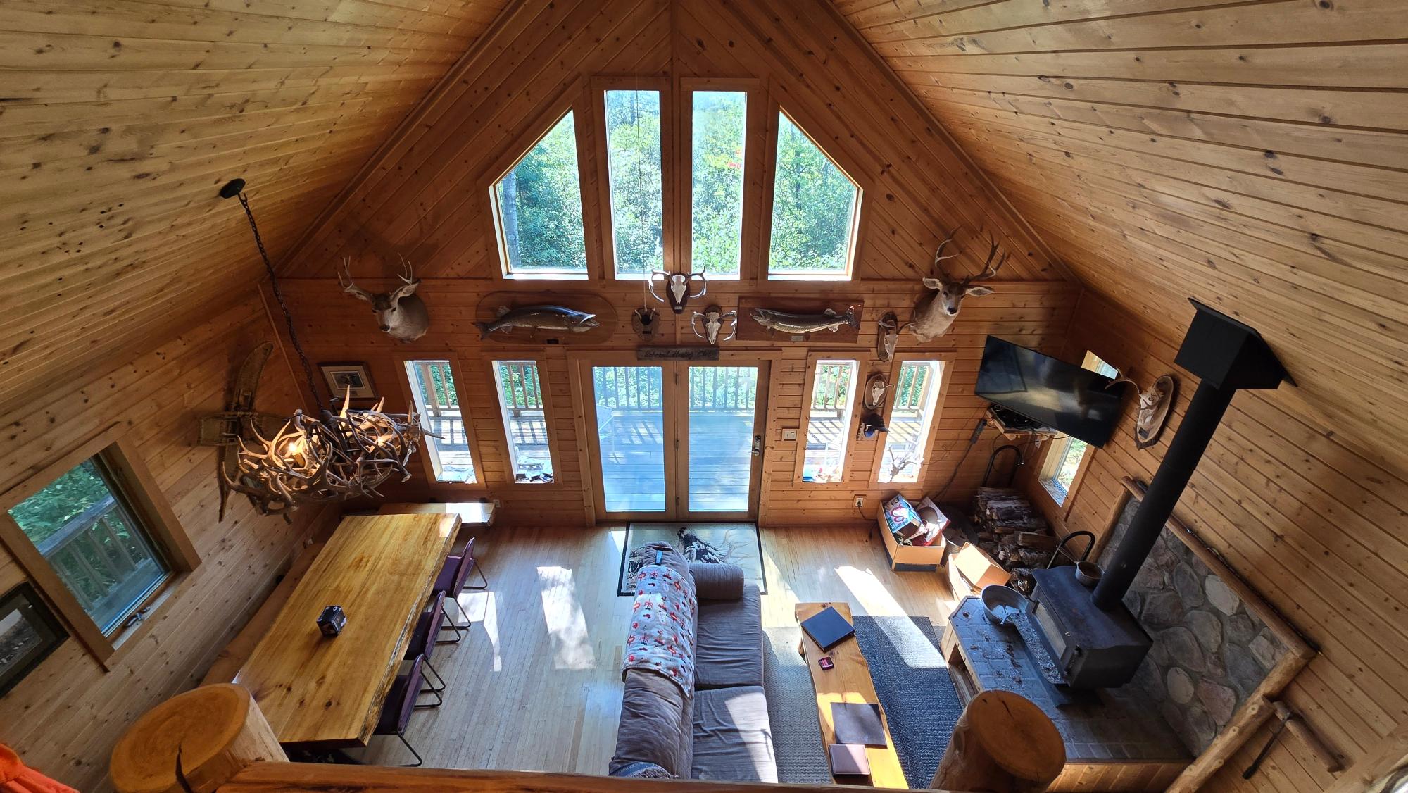 Gallery Image 7