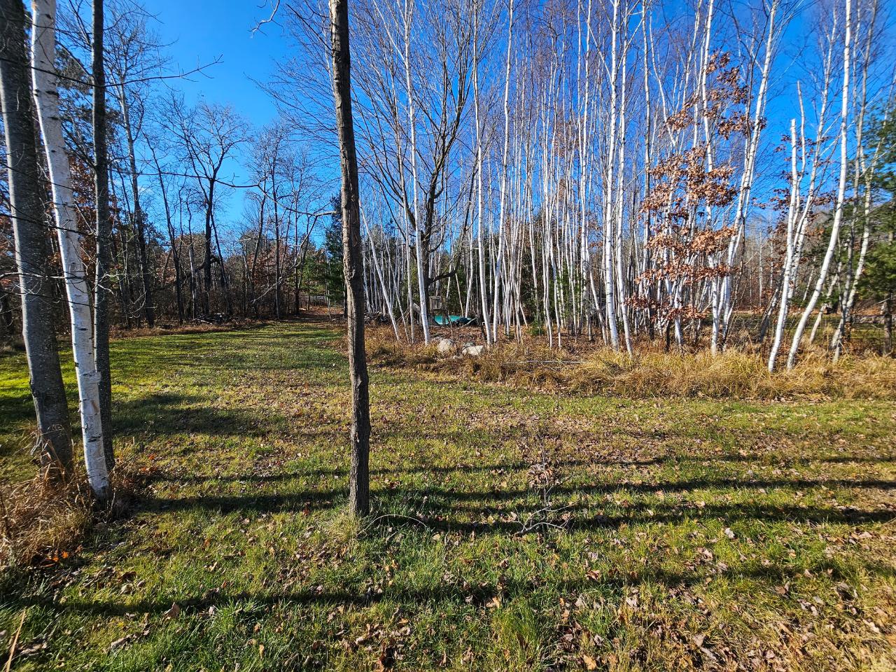 N10228 South Pine Road Tomahawk, WI 54487 - Photo 11 of 31 Gallery Image 11