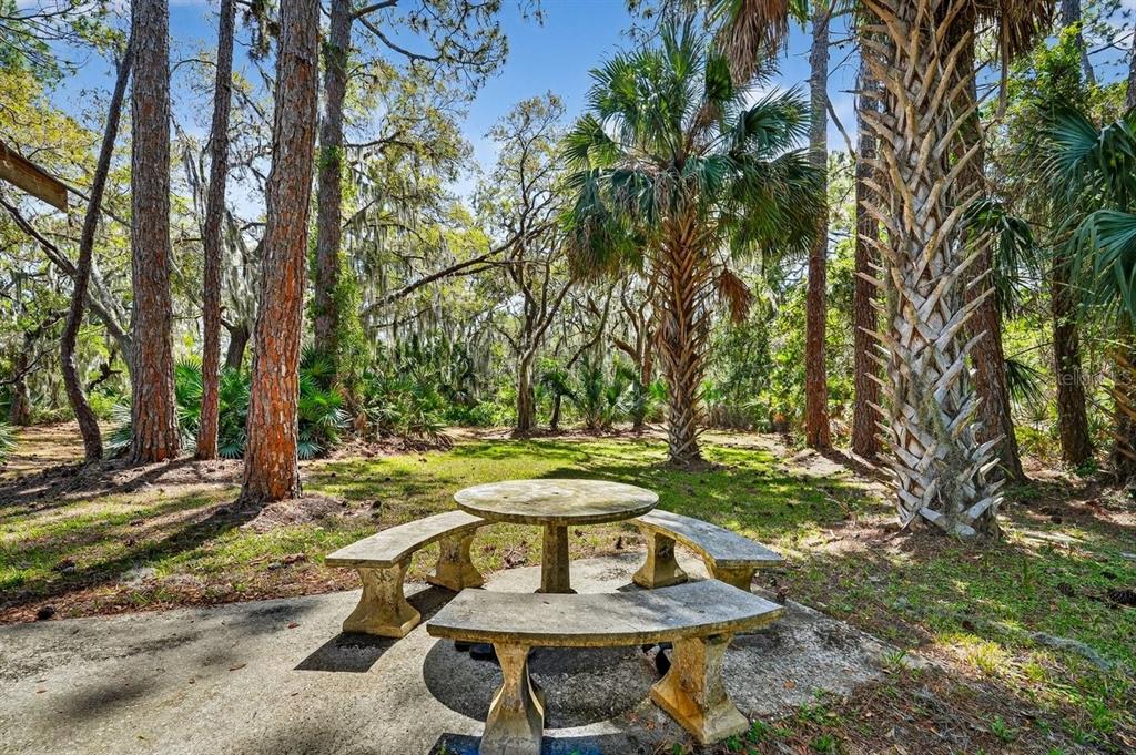 6062 Dalford Road Port Orange, FL 32127 - Photo 39 of 53