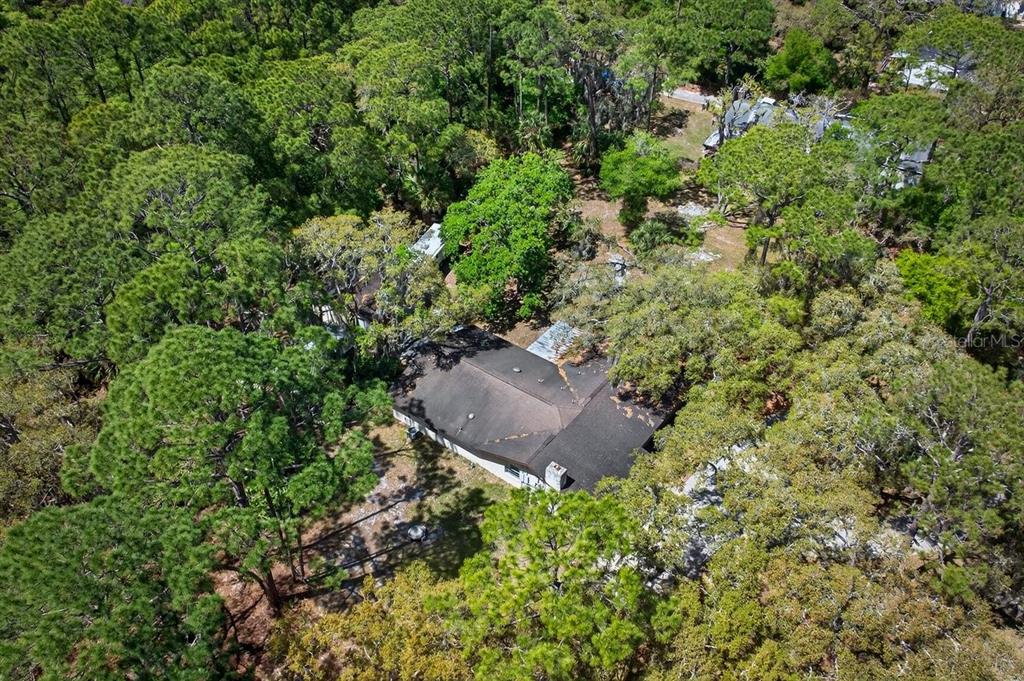 6062 Dalford Road Port Orange, FL 32127 - Photo 47 of 53