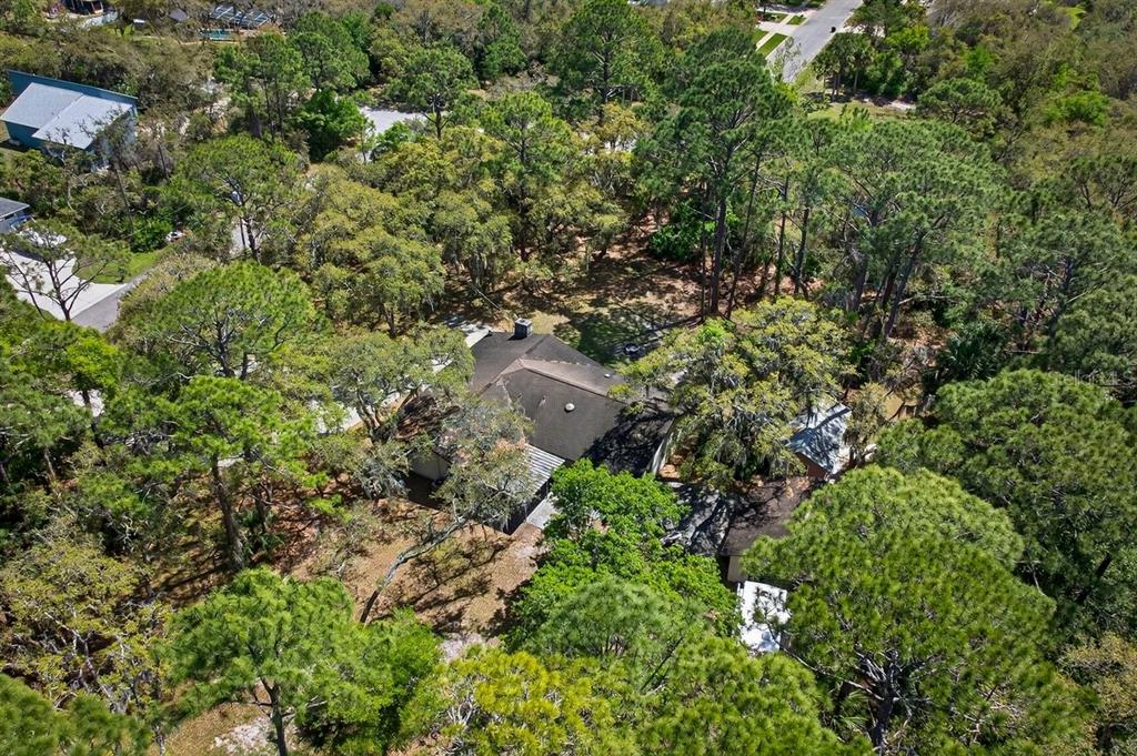 6062 Dalford Road Port Orange, FL 32127 - Photo 48 of 53